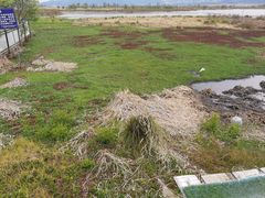 -腾冲北海湿地