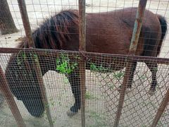 -祥源·阜阳生态乐园