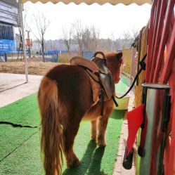 -萌宠亲子动物乐园(槐房万达店)