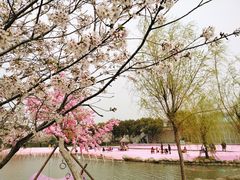 -上海杨姆庄园