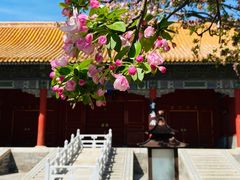 -故宫博物院(故宫)
