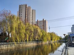 -西清公园