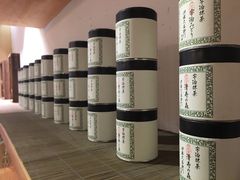 -柴务处·柴犬主题狗咖