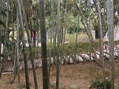 -故乡缘·香格里拉山庄(冷竹路店)