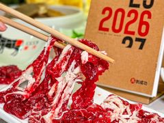 -今日牛事潮汕鲜牛肉火锅(瑞金店)