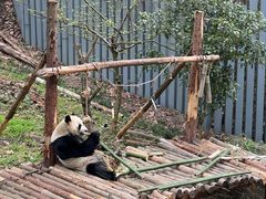-黔灵山公园