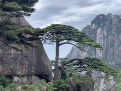 -黄山风景区