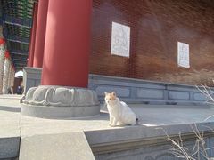 -六鼎山文化旅游区