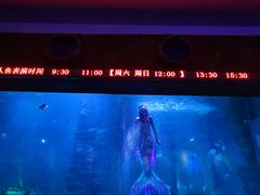 -无锡海洋馆