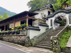 -龙井村