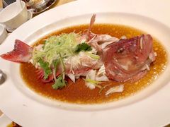 东星斑清蒸-8餐厅(新葡京酒店)