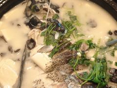 -老淳安—伴山伴湖(千岛湖开元度假村店)