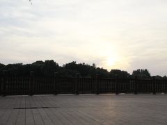 -大兴滨河森林公园