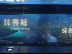 -厦门海底世界
