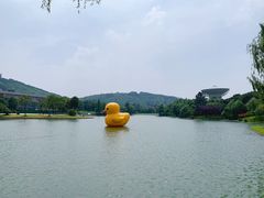 -上海佘山世茂艾美酒店