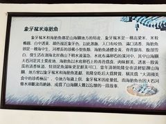 -王家大院