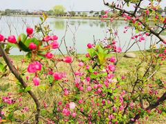 -上膳源有机蔬菜(三泉路店)