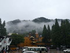 -九华山聚龙大酒店