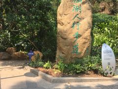 -深圳仙湖植物园-停车场