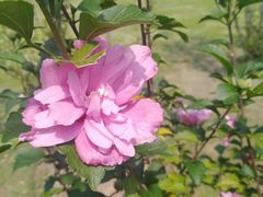 -白塘生态植物园