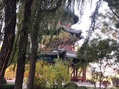 -迎泽公园