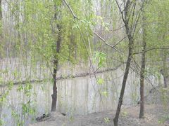 -溱湖国家湿地公园