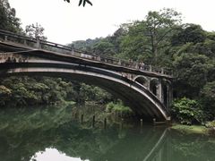 -鼎湖山风景区
