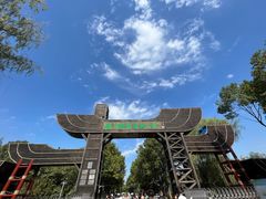 -溱湖国家湿地公园