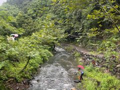 -石台牯牛降景区