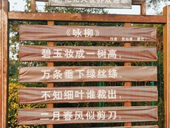 -南宁花花大世界景区