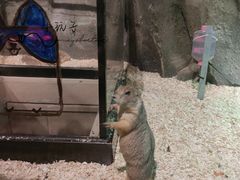 -zoonana室内动物园(东方福来德店)