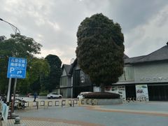 -凤岭儿童公园