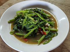 -Kat's Kitchen