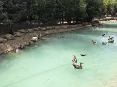-长春农业博览园