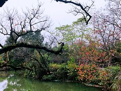 -西溪国家湿地公园