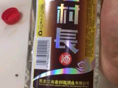 老村长-松江屯东北农家铁锅炖(沧州店)