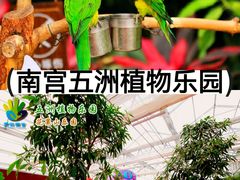 -南宫五洲植物乐园