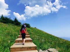 -白草畔自然风景区