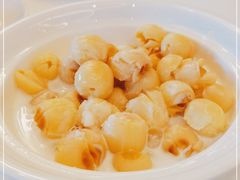 -金汇酒楼(中山东区店)