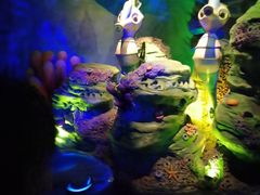 -青岛嘉年华主题乐园