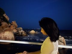 -那琴半岛地质海洋公园