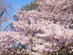 -成都濑川外国语学校