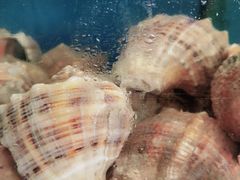 -渔中舟海鲜大排档(普陀沈家门店)