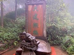-青城山