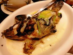 清蒸老虎斑-徐记海鲜(陕西历史博物馆|明德门店)
