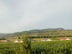 -塞罕坝国家级自然保护区