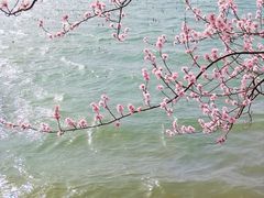 -颐和园-景明楼