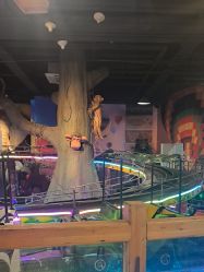 -卡通尼·Safari非洲探索乐园·生日会(金桥国际商业广场店)