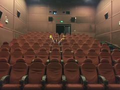 -汉阳天河电影城(王家湾店)