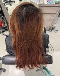 -SALON DE VANHADA